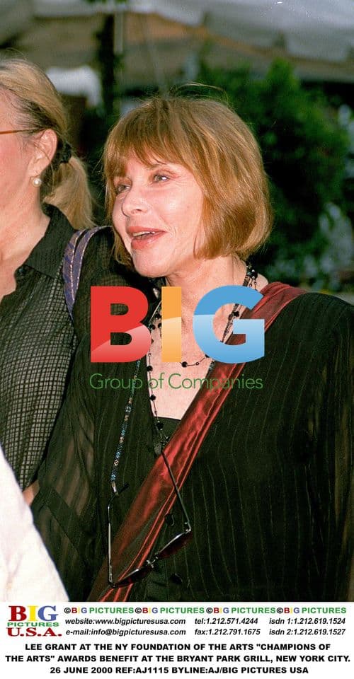 Lee Grant at the NY Foundation of the Arts Awards