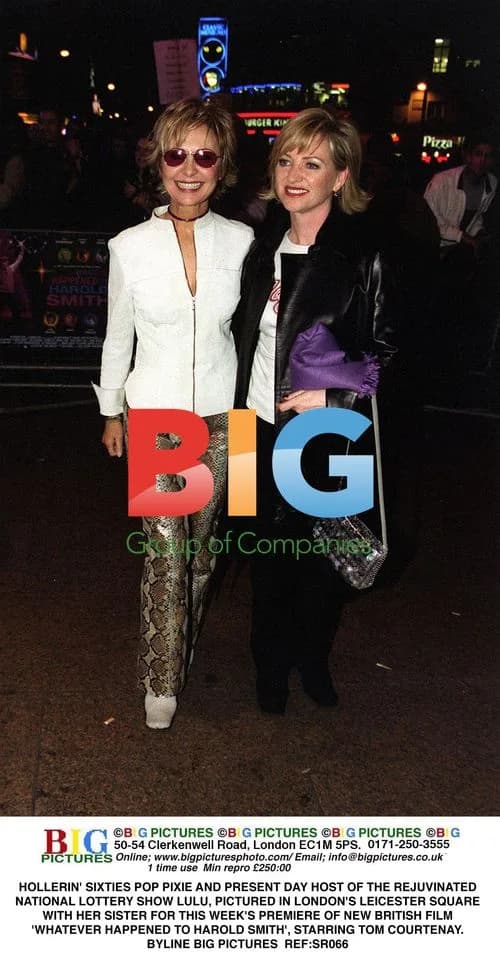 Lulu at 'Whatever Happened to Harold Smith' Premiere