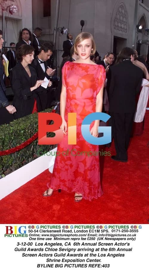 Chloe Sevigny at 6th Annual SAG Awards