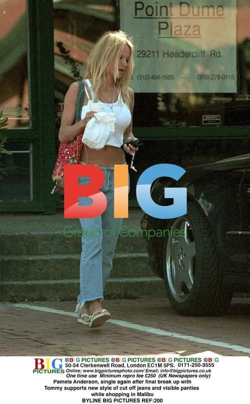 Pamela Anderson shops in Malibu
