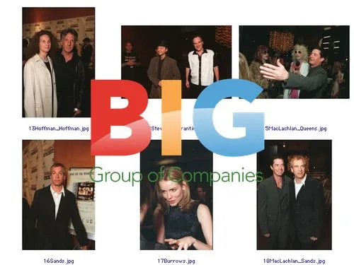 Pop star at charity event