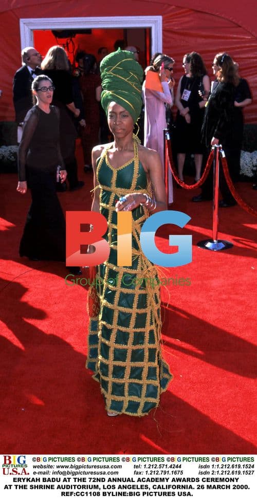 Erykah Badu at the 72nd Academy Awards