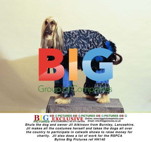 Shula the dog and owner Jil Atkinson raise charity