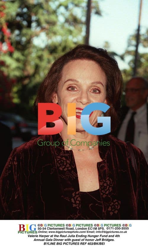 Valerie Harper at Raul Julia Ending Hunger Fund Gala