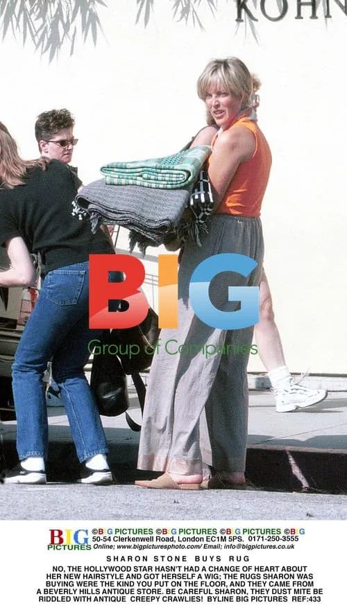 Sharon Stone Buys Rugs