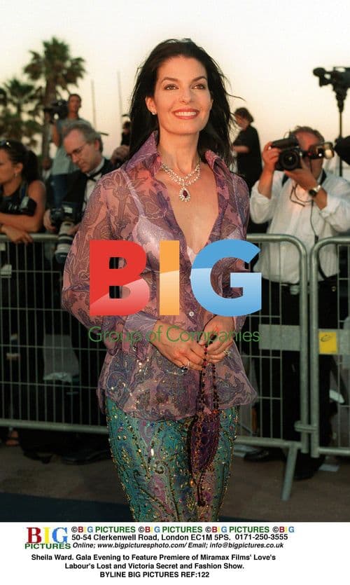 Sheila Ward at Miramax and Victoria's Secret Gala