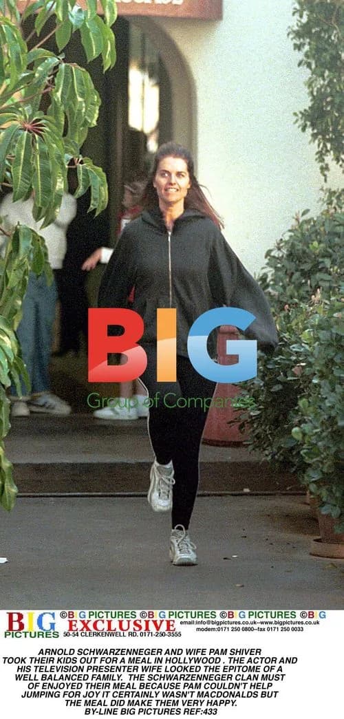 Schwarzenegger Family Outing in Hollywood