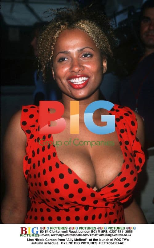 Lisa Nicole Carson at FOX TV Autumn Launch