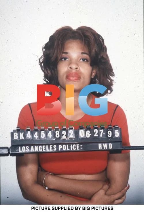 Divine Brown Mug Shot in Los Angeles