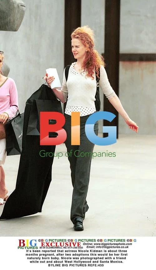 Nicole Kidman Spotted Pregnant in LA