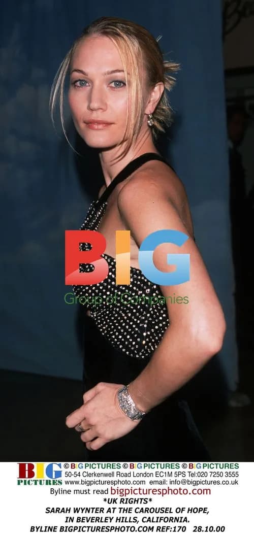 Sarah Wynter at Carousel of Hope event