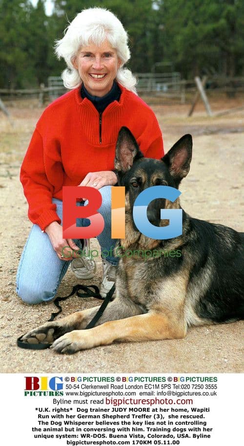 Dog Trainer Judy Moore at Home with Treffer