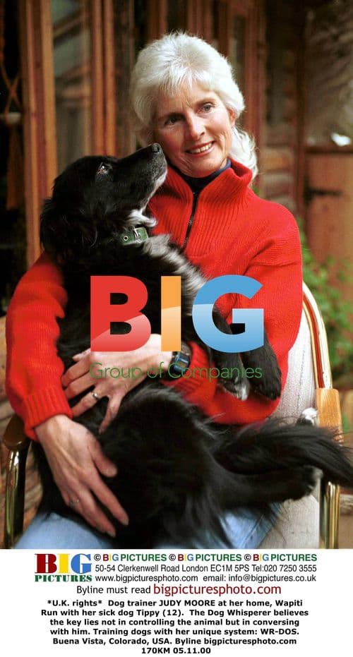 Judy Moore, Dog Trainer, with Tippy
