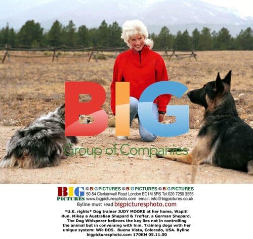 Judy Moore, Dog Trainer, at Home