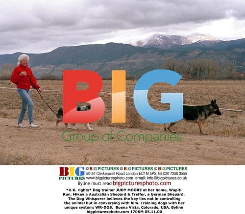 Judy Moore, Dog Trainer at Wapiti Run