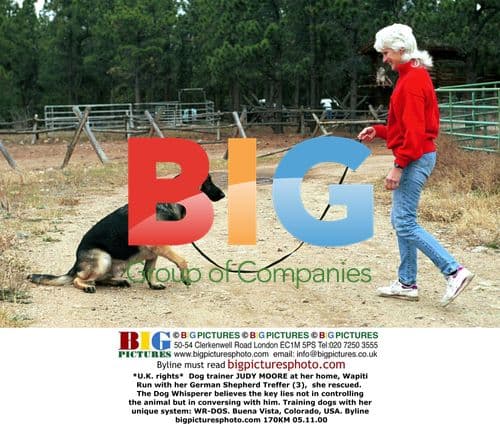 Dog Trainer Judy Moore and Her German Shepherd