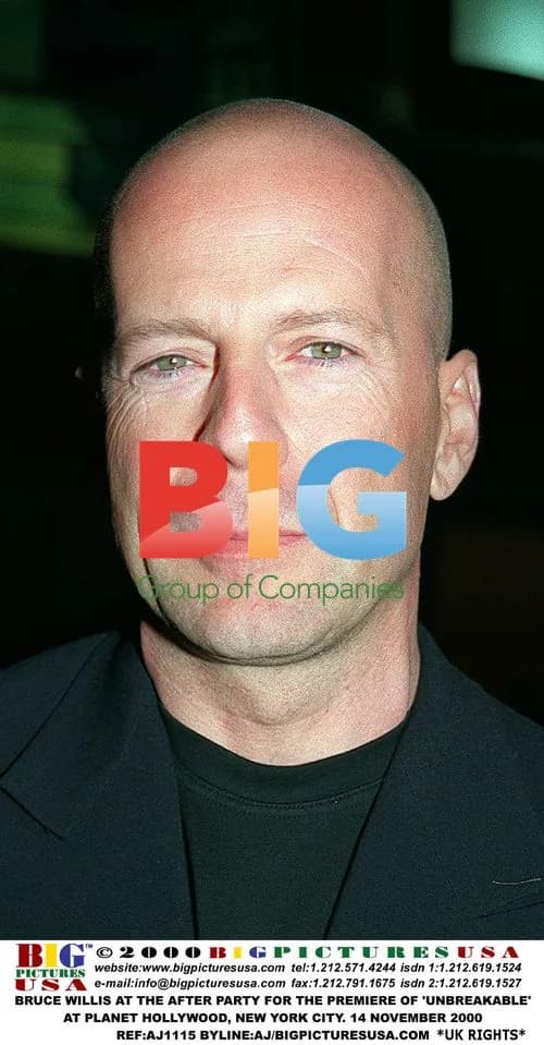 Bruce Willis at 'Unbreakable' premiere after party