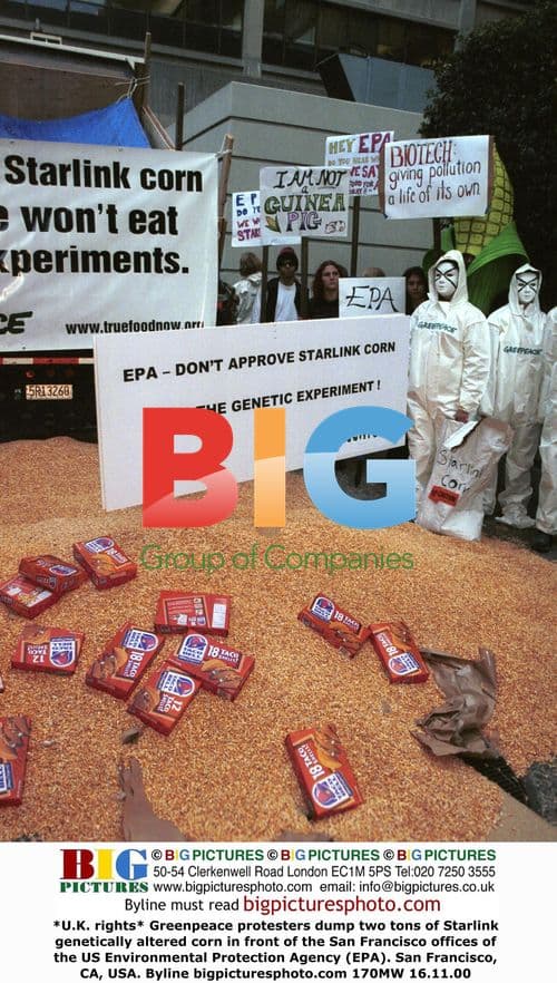 Greenpeace Protest Against Genetically Modified Corn