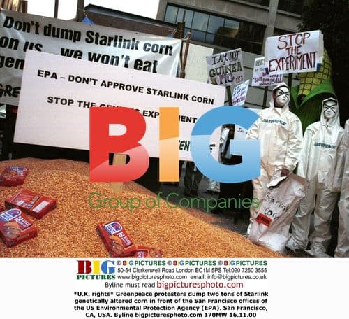 Greenpeace Protest Against Genetically Altered Corn
