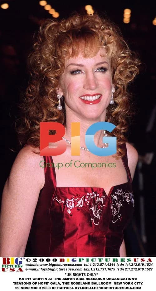 Kathy Griffin at amfAR 'Seasons of Hope' Gala