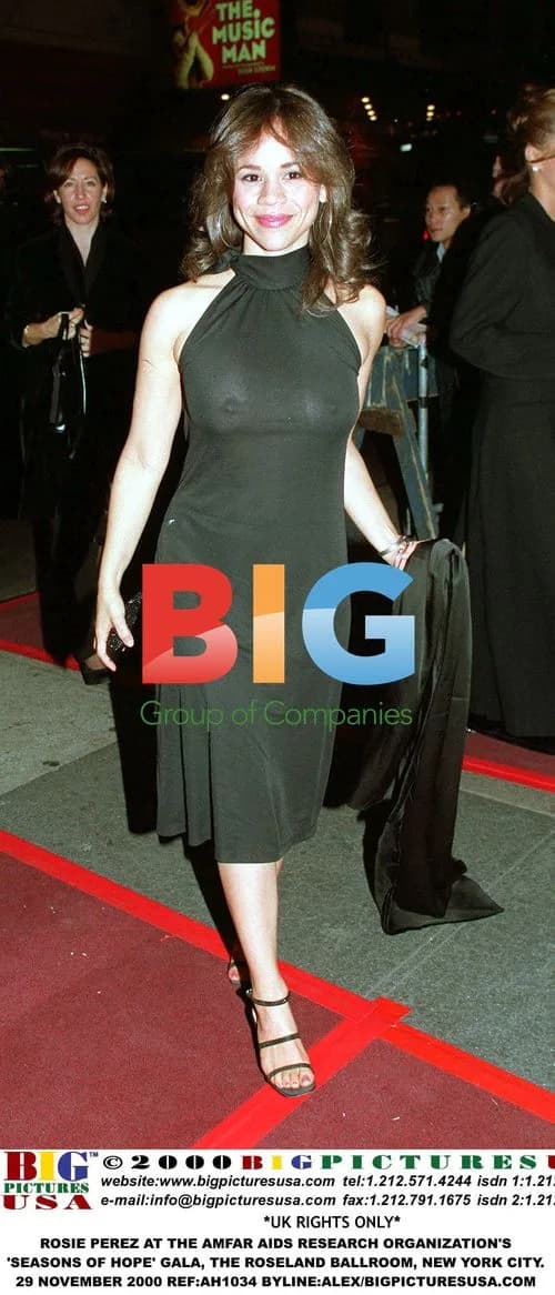 Rosie Perez at AmFAR Gala in New York