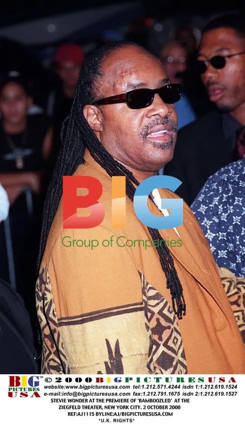 Stevie Wonder at 'Bamboozled' Premiere