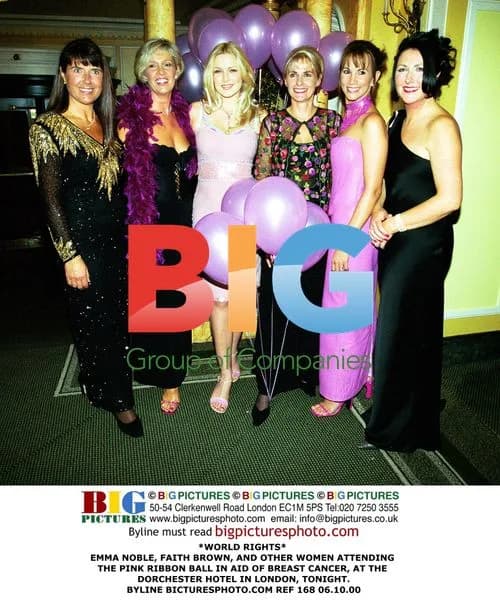 Celebrities Attend Pink Ribbon Ball for Breast Cancer