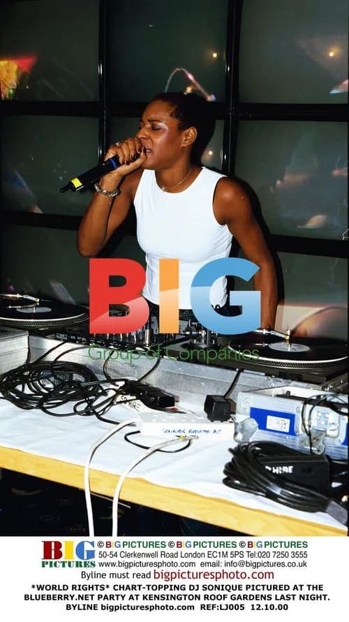DJ Sonique at Blueberry.net Party