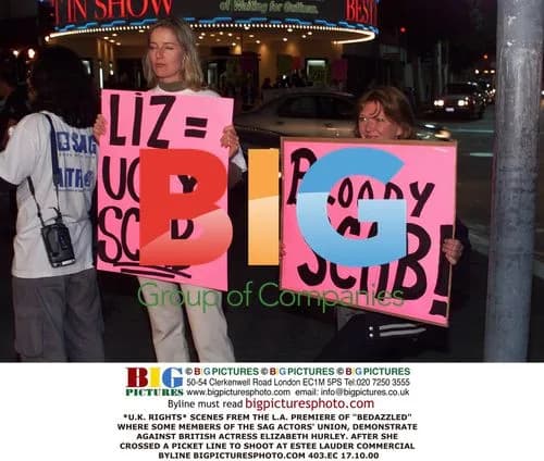 Elizabeth Hurley at 'Bedazzled' L.A. Premiere