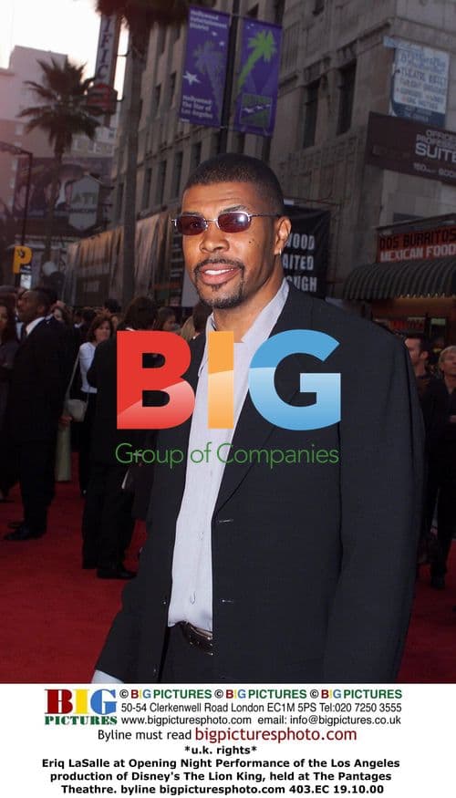 Eriq LaSalle at The Lion King Opening Night