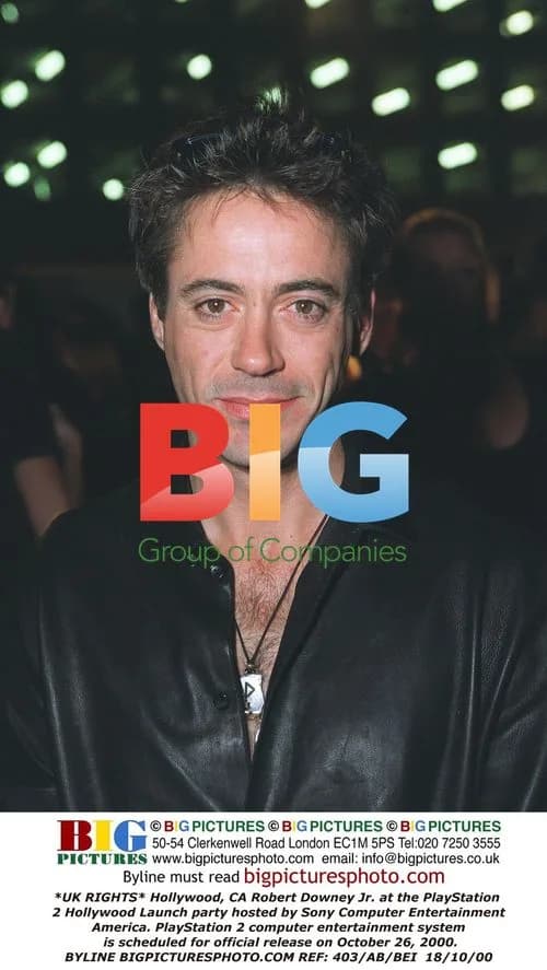 Downey Jr. at PS2 Hollywood Launch