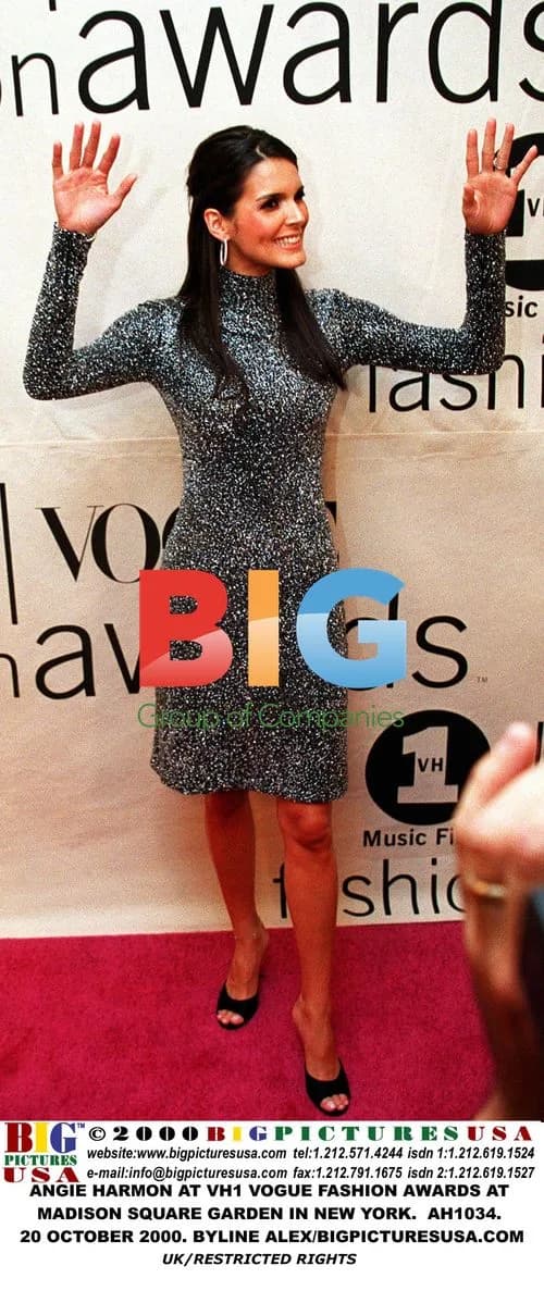 Angie Harmon at VH1 Vogue Fashion Awards
