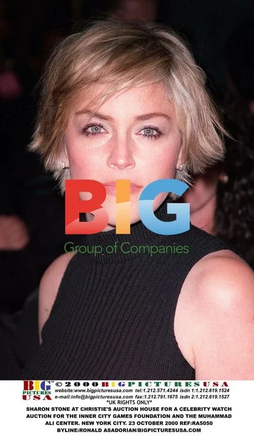 Sharon Stone at Celebrity Watch Auction