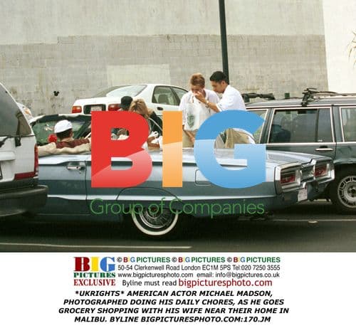 Michael Madsen's Grocery Run