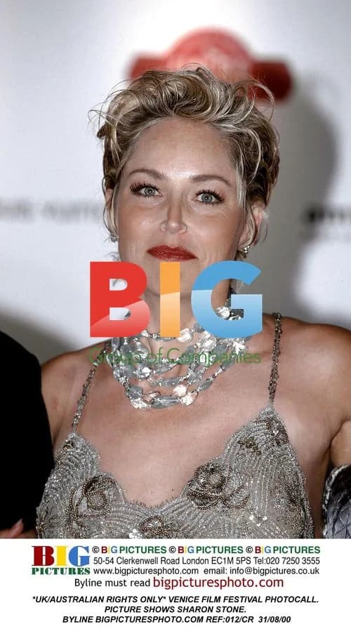 Sharon Stone at Venice Film Festival