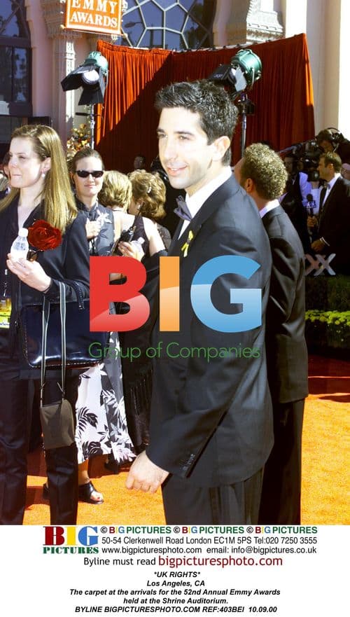 David Schwimmer at 52nd Annual Emmy Awards