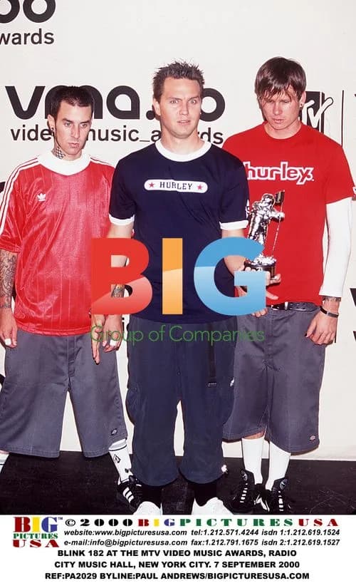 BLINK 182 AT THE MTV VMA, NEW YORK CITY