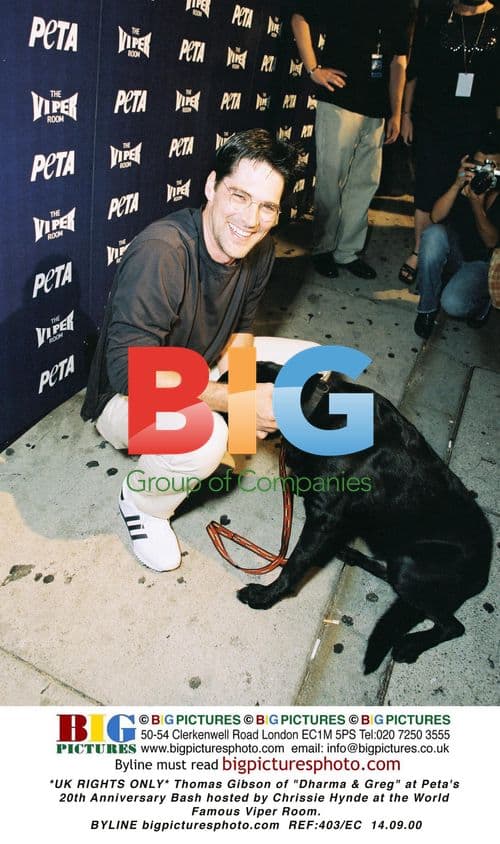 Thomas Gibson at Peta's 20th Anniversary Party