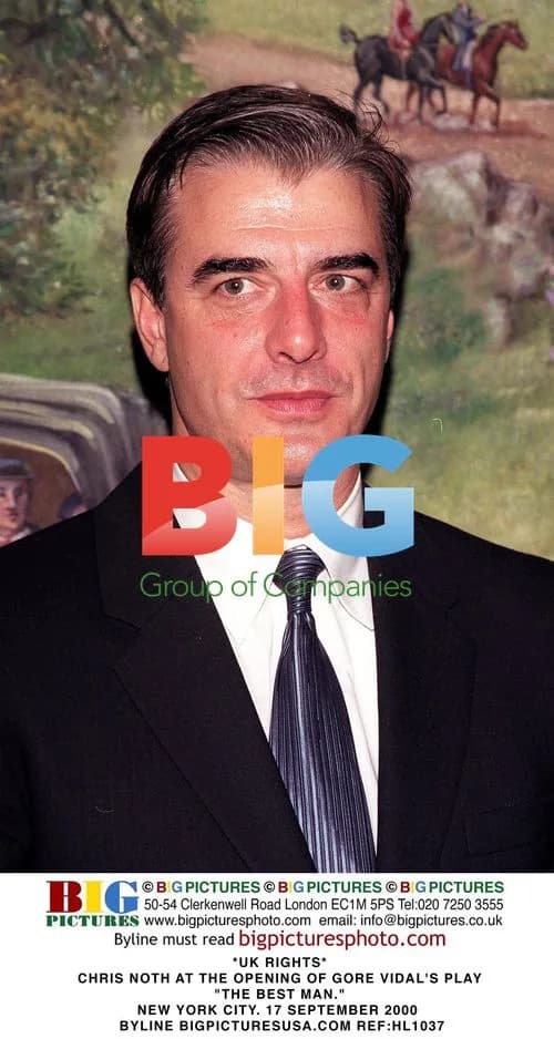 Chris Noth at Gore Vidal's Play Opening
