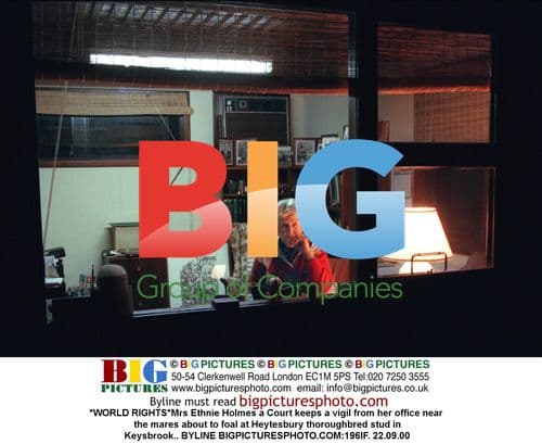 Mrs Ethnie Holmes keeps vigil over foaling mares