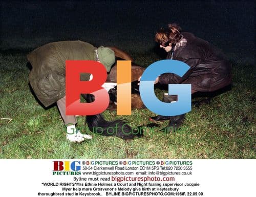 Mrs Holmes a Court and Myer help mare give birth