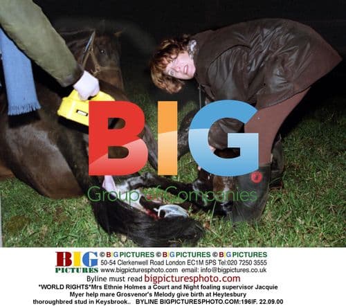 Mrs Ethnie Holmes and Jacquie Myer assist mare's birth