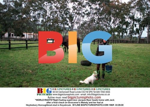 Supervisor checks on Grosvenor's Melody and foal