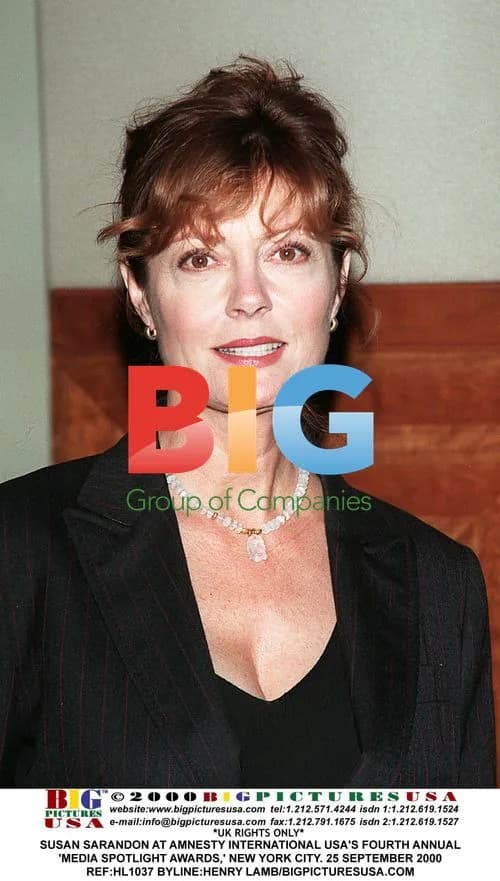 Susan Sarandon at Amnesty International USA's Media Spotlight Awards
