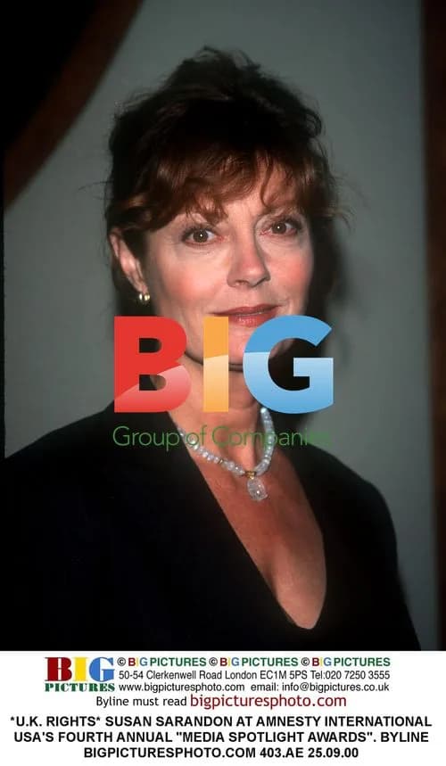 Susan Sarandon at Amnesty International USA Awards
