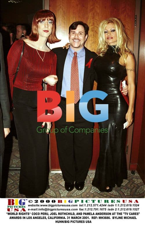 Coco Peru, Joel Rothchild, and Pamela Anderson at TV Cares Awards