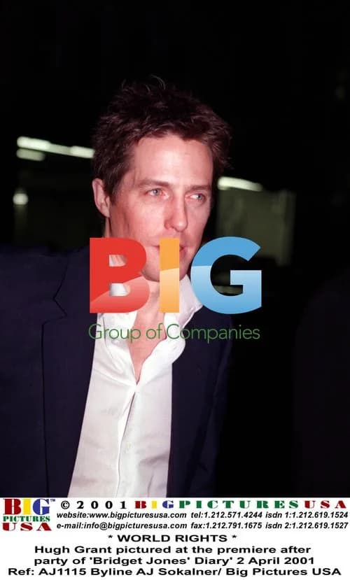 Hugh Grant at 'Bridget Jones' Diary' Premiere