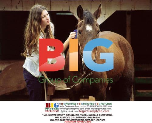 Giselle Bundchen, Leonardo DiCaprio's Fiancée