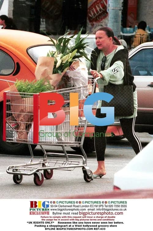Roseanne Goes Grocery Shopping in Hollywood