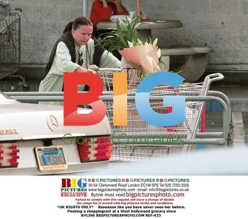 Roseanne at West Hollywood Grocery Store